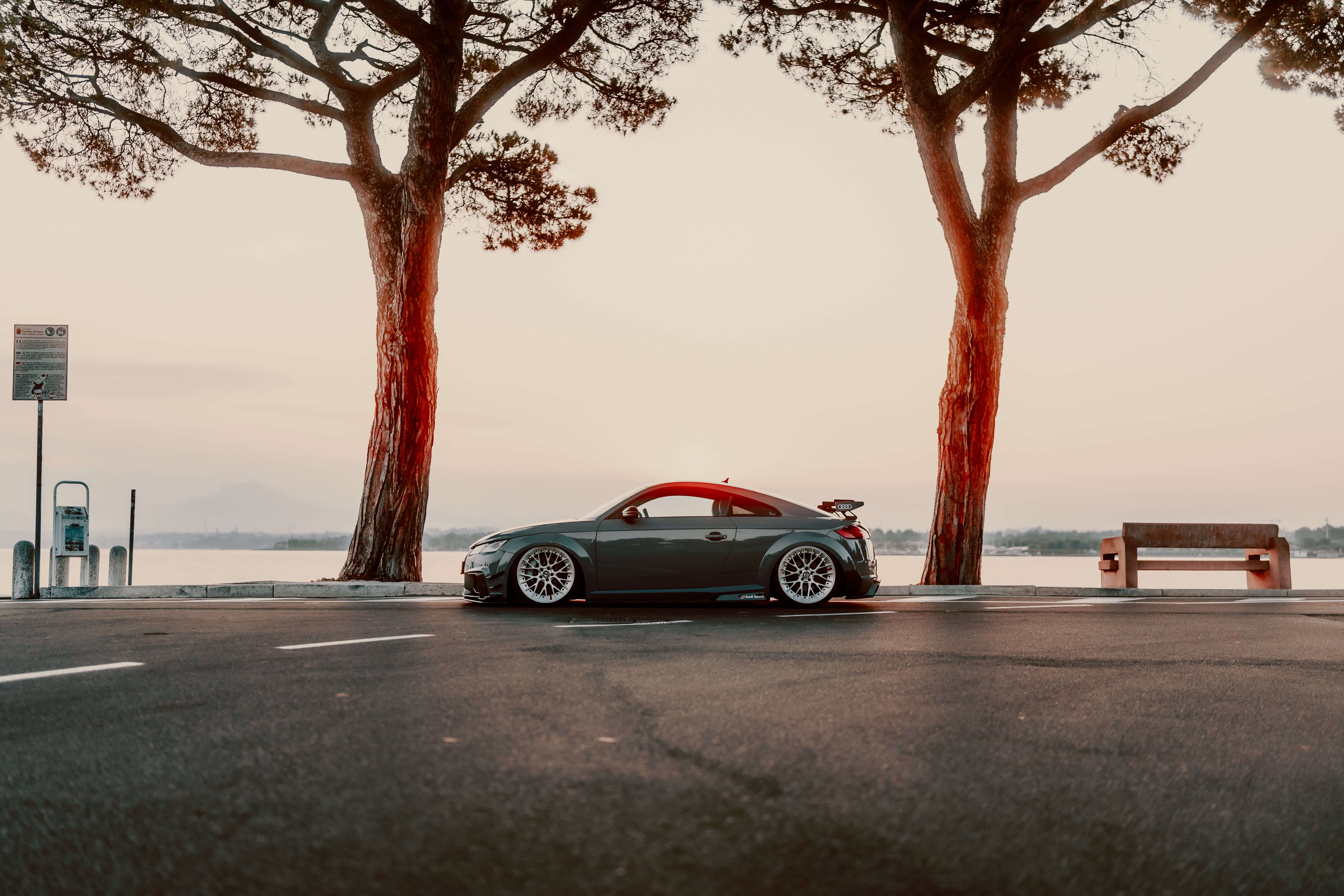 54080913562 5ba044ff1d 6k